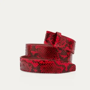 Ceinture Python